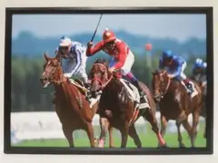 Item thumbnail for item 6f4f77dc-1241-467d-b868-f099d1425913