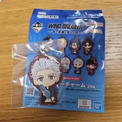 WIND BREAKER ラバスト 梅宮一