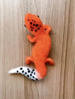 ヒョウモントカゲモドキ★タンジェリン