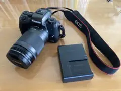 Item thumbnail for item 38f9cb12-642b-4a81-ae67-3ff2fb9b519c