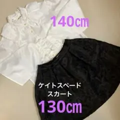 Item thumbnail for item 1ff91e6b-cb12-4e17-adf9-9f3d604fd501