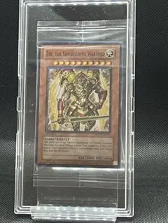 遊戯王 - 専用-TYR, THE VANQUISHING WARLORD Yugioh Card English Tyr The Vanquishing Warlord WCPS-AE903
