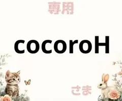 専用