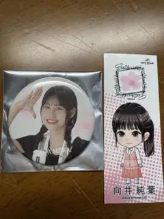 向井純葉 缶バッチ ステッカー