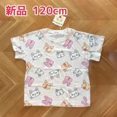【バースデイ】ノンタン 半袖Tシャツ 120cm