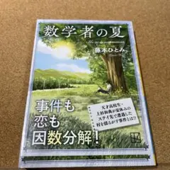 数学者の夏
