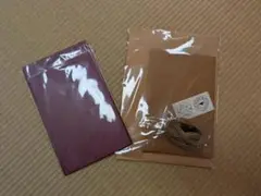 Item thumbnail for item ba41cd4f-5ddf-4e29-827e-af3b79346920