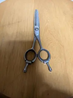 Item thumbnail for item d9e656a1-7d0f-4ef0-a89b-b07f77863d3c