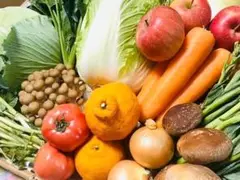 全て朝採れ♪ 野菜 と 果物 詰め合わせ セット 無農薬