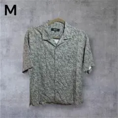 Item thumbnail for item 6fdca702-2289-4068-affe-a444a43ead2e