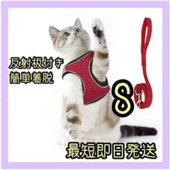 Item thumbnail for item caa2fa56-75c8-4813-a840-054b566af09b