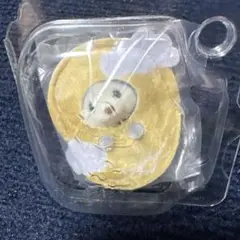 Item thumbnail for item 3d5a0c90-b2ad-4734-beab-a952068de405