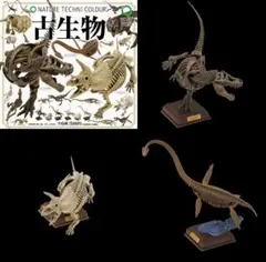 NTC 古生物 ティラノサウルス トリケラトプス フタバスズキリュウ