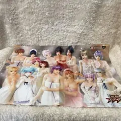 無双スターズ リバーシブル湯けむりB3布ポスター 集合