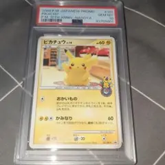 2025年最新】ピカチュウ 101/DP-P おかいもの名古屋の人気