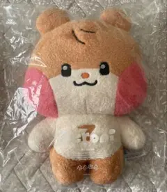 2025年最新】ZB1 zeroni ハンビン ビニニ binini フラット