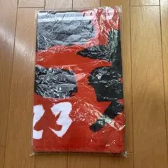 広島東洋カープ限定下剋上タオル