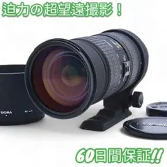 Item thumbnail for item ef45a792-0fa0-4b33-8016-3e5f1698d074