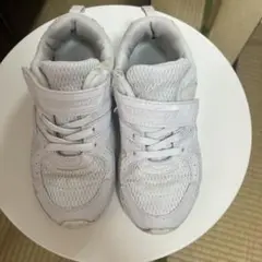 瞬足　19cm