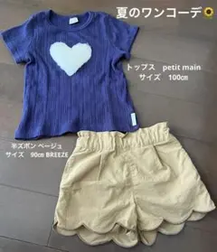 【夏のワンコーデ】petit main×BREEZE