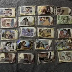 ワンピース　イタジャガ　20枚セット