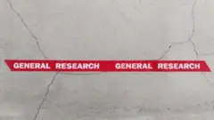 GENERAL RESEARCH リボン(１本)