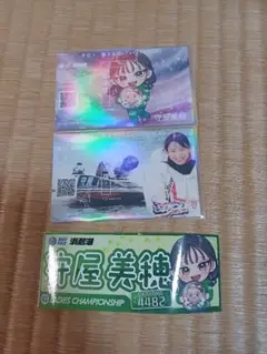 ボートレース浜名湖　競艇　レディースチャンピオン　記念舟券　ステッカー　守屋美穂