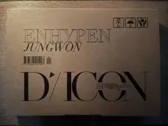 ENHYPEN JUNGWON D/ICON D FESTA
