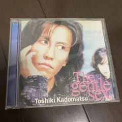 2025年最新】角松敏生 the gentleの人気アイテム - メルカリ