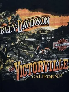 Item thumbnail for item 3e312319-a38e-4e6a-bd4b-77eb82e6f5fe