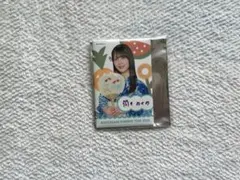乃木坂46 筒井あやめ 真夏の全国ツアー2025 【特典】スクエア缶バッジ
