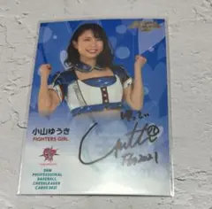 Item thumbnail for item 426a2fb6-6c85-4d22-bc5f-f4fb135d5ae0