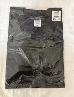 Item thumbnail for item 705c6fe1-9ae9-4887-9bdc-da03ccd05829