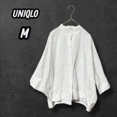 Item thumbnail for item 5ed4ee93-2c6c-4756-a83f-cf89d307ea48