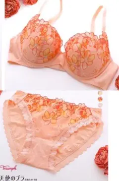 【新品、未使用、タグ付き】 天使のブラ　& ショーツセット　D75