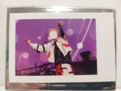 いれいす 実写チェキ ないこ 2024 Irregular Vacation ①