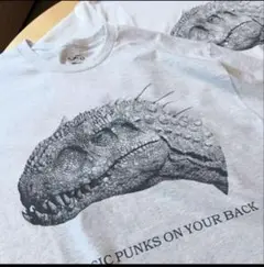 UPPER FIELD ONE UFO HYBRID REX TEE