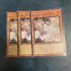 灰流うらら　アジアシークレット　3枚