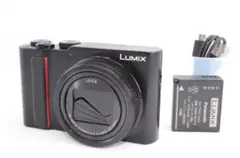 値下げ交渉歓迎 Panasonic TX2 パナソニック DC-TX2 動作OK