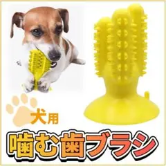 Item thumbnail for item b28256f9-afe8-4da2-89be-98838cc2f0ec