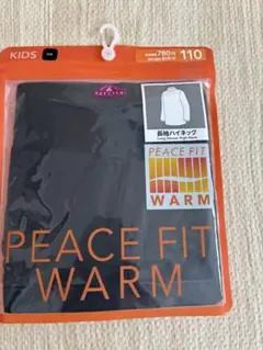 Item thumbnail for item 3dd9ff76-0c1d-4448-a5ec-0d0765b55810