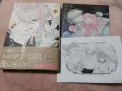花秘める君のメテオール 4巻 イラスト集付き特別セット