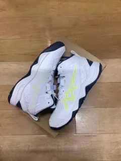 Item thumbnail for item e22116f0-971b-4189-826c-b0346e23ce0e