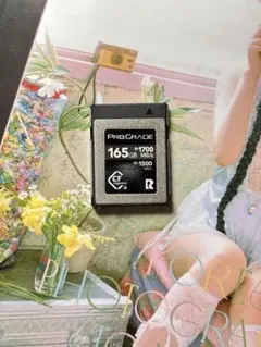 Item thumbnail for item f8dcf538-0066-4159-8223-0689ecb2d44a