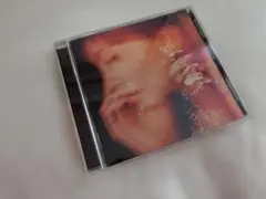 LiSA 残酷な夜に輝け CD