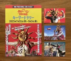 シブヤフードダンジョンオリジナルタローマンカードセット