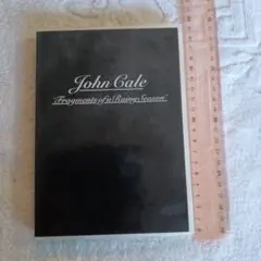 ジョン・ケイル/追憶の雨の日々