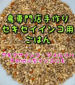 鳥専門店手作り・鳥の餌・セキセイインコ(小型インコ)用ごはん