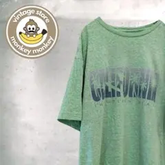 mz64825 カルフォルニア　プリントTシャツ　カットソー　くすみカラー