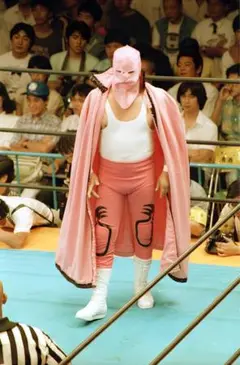 プロレスフィギュアマスカラス兄弟３体セット 2025年最新】ミルマスカラス フィギュアの人気アイテム - メルカリ